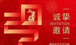 年会爆料视频文案素材下载,揭秘精彩瞬间与幕后故事